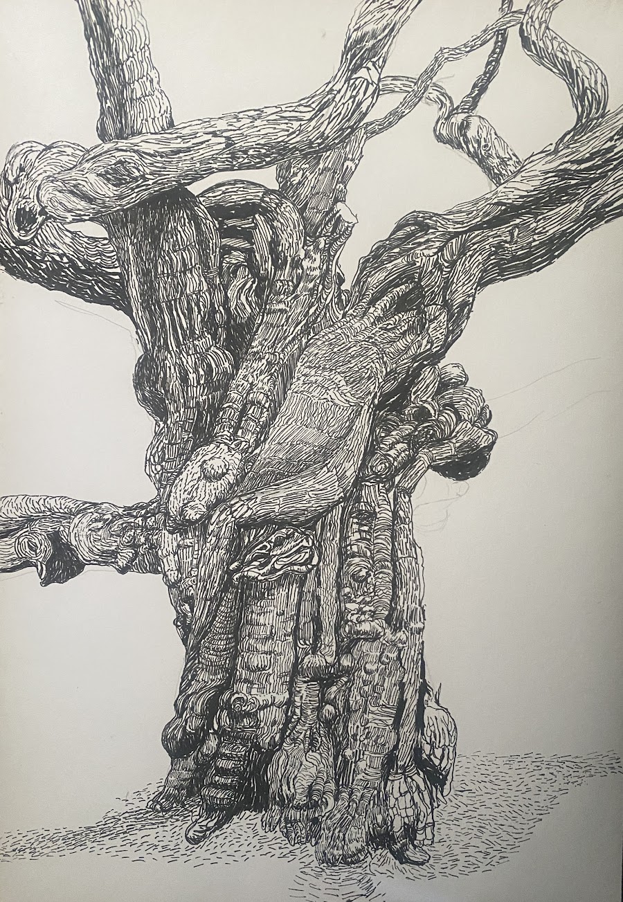 Portrait of a tree with strong horizontal branches