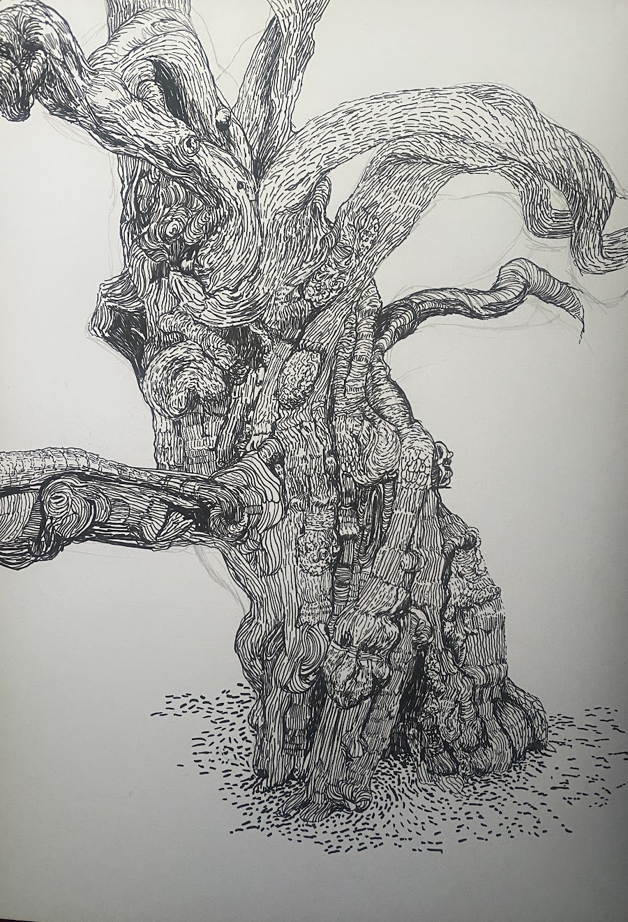 Gnarled tree with branching arms and deeply worked trunk