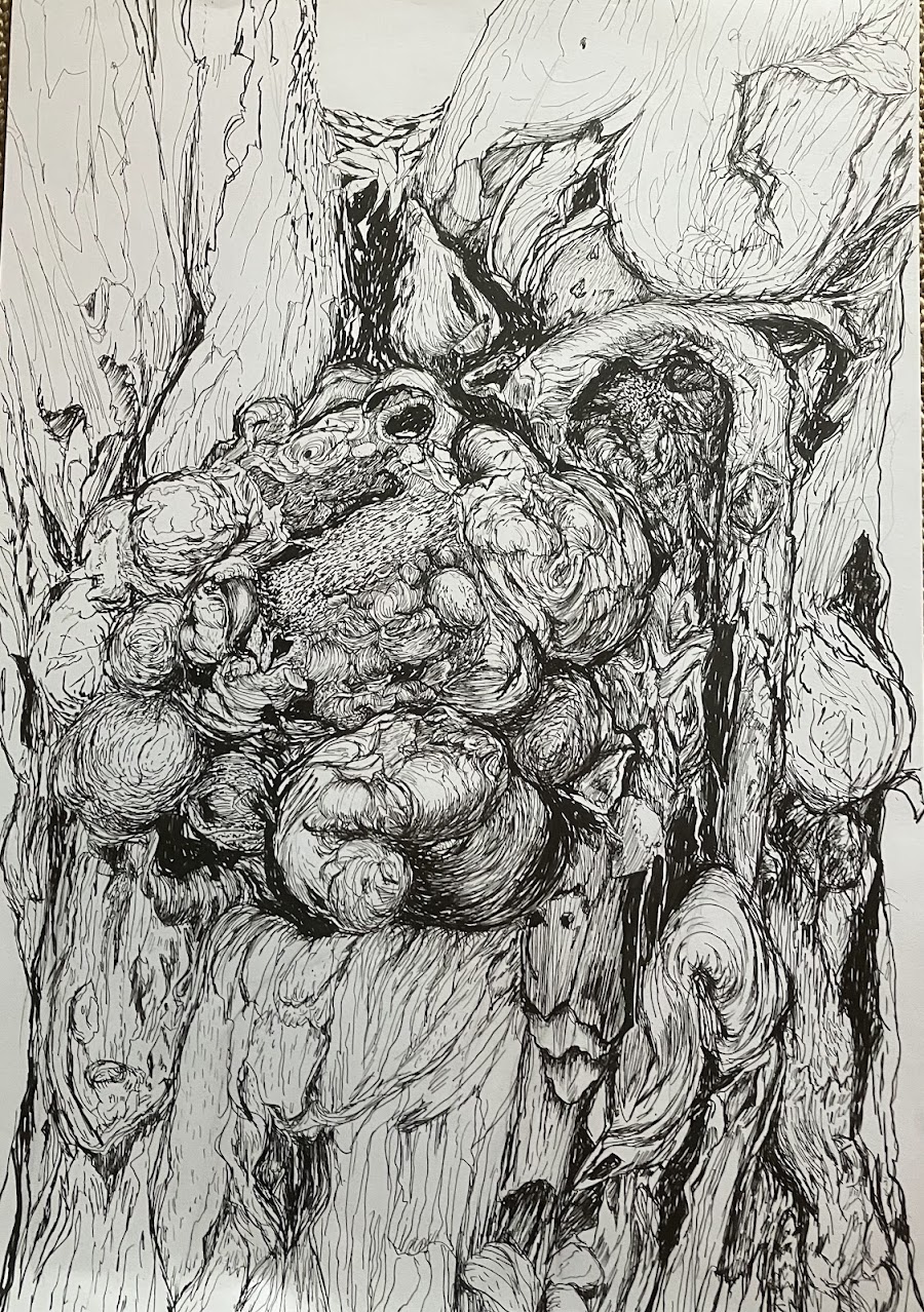 Close study of knotted wood and growths