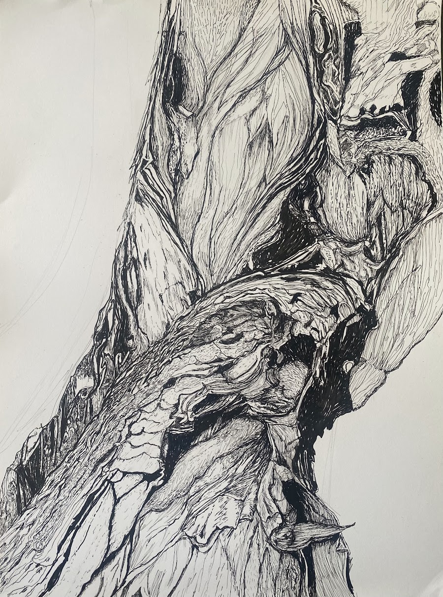 Study of a tree limb and bark in profile