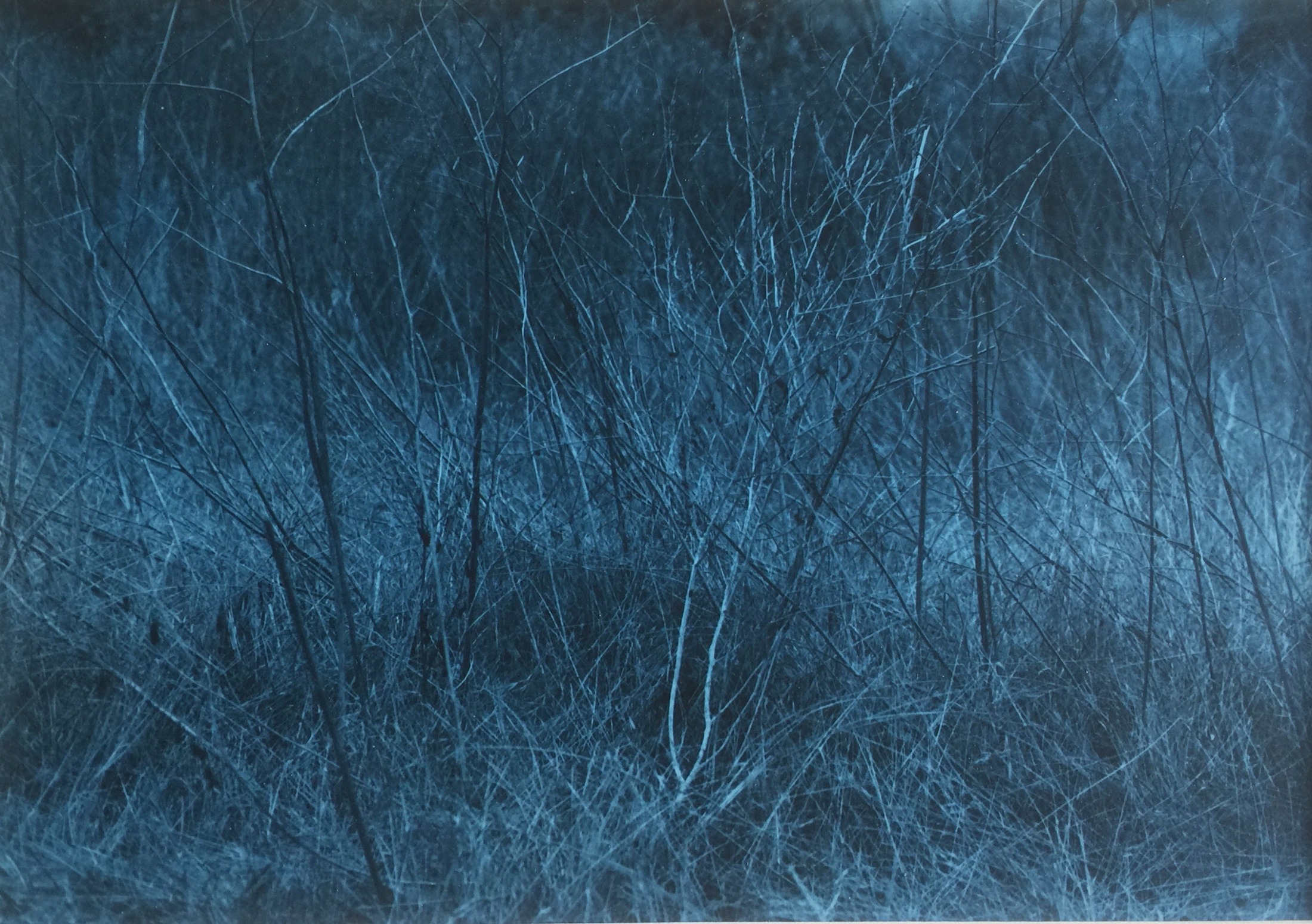 Blue photographic study 3