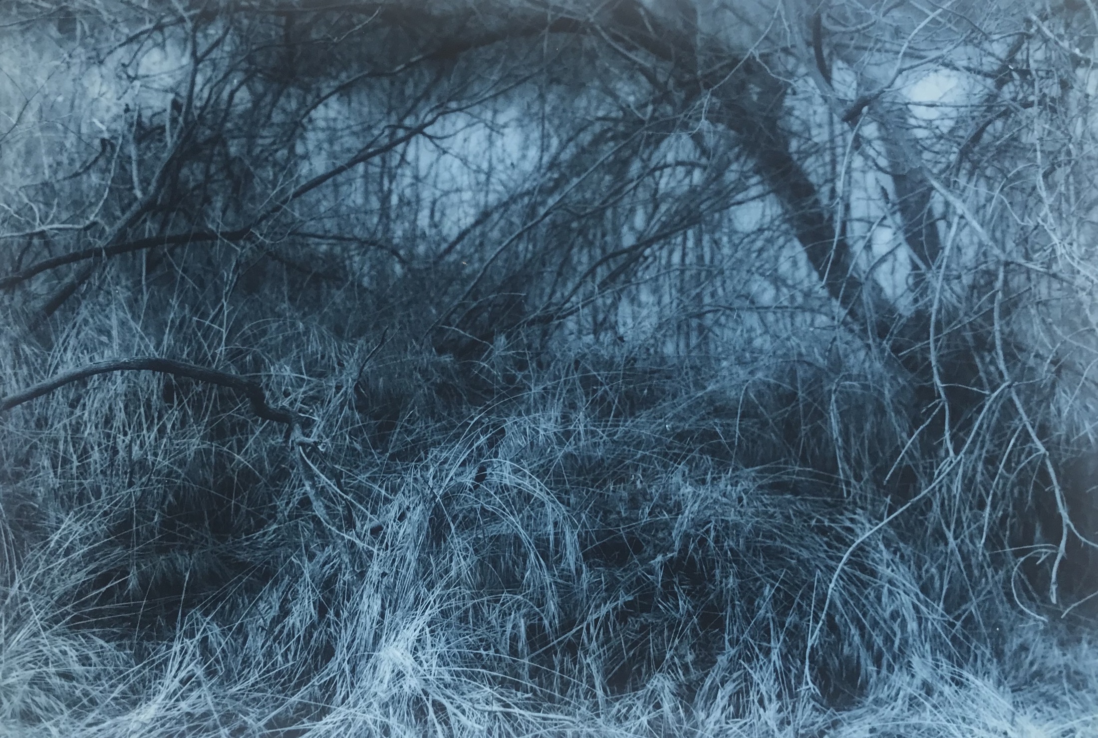 Blue photographic study 4