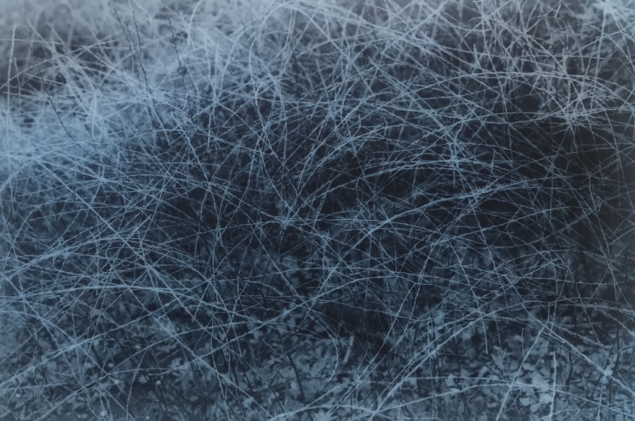 Blue photographic study 5
