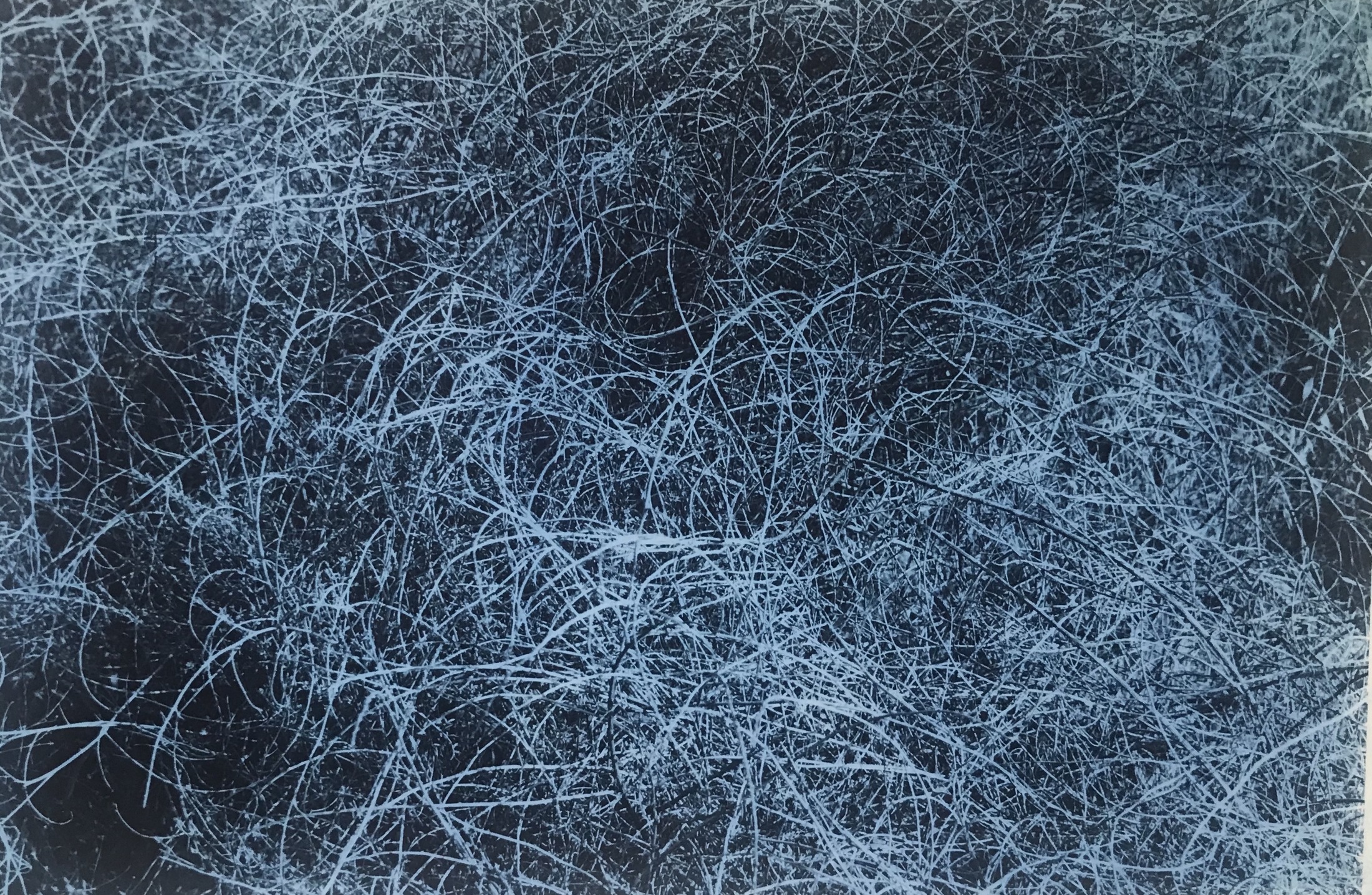 Blue photographic study 6