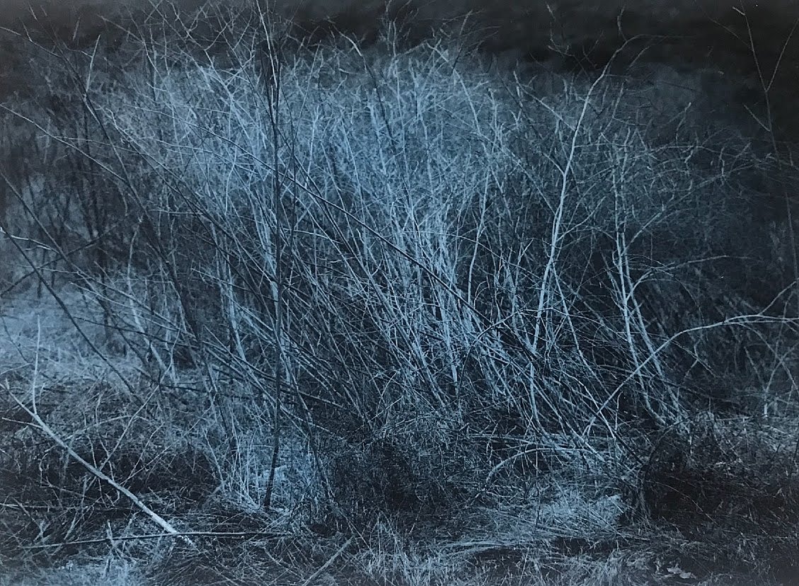 Blue photographic study 7