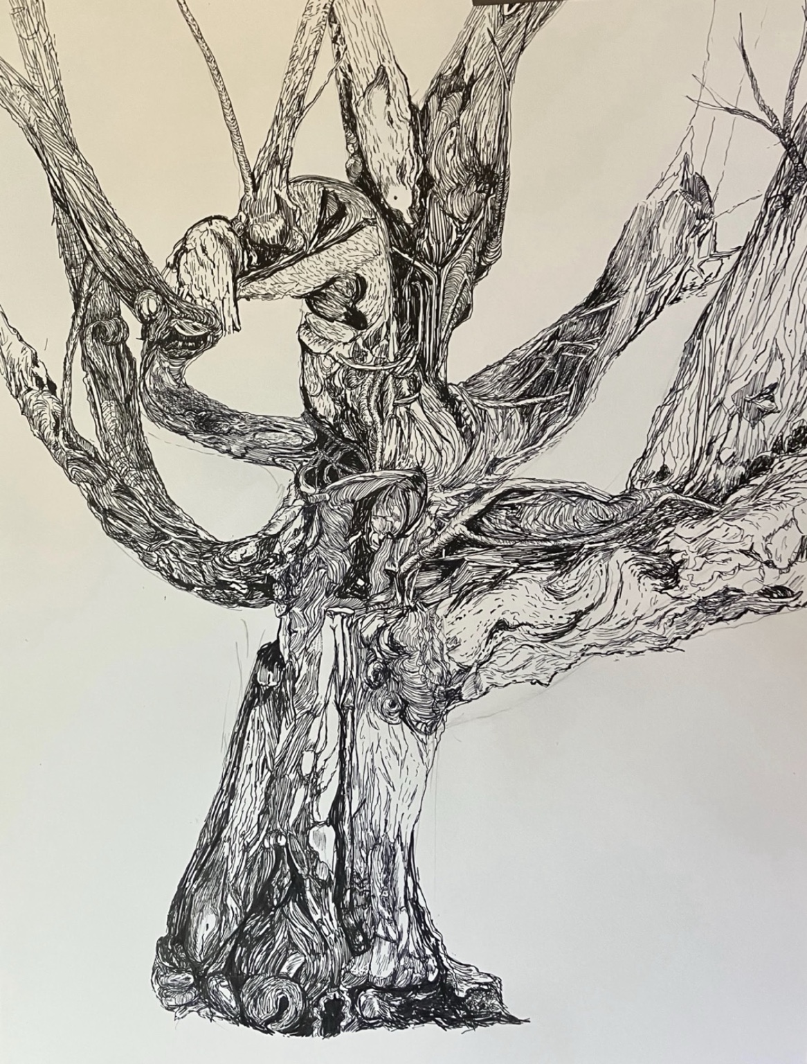 Intricate drawing of a gnarled tree trunk and interlocking limbs