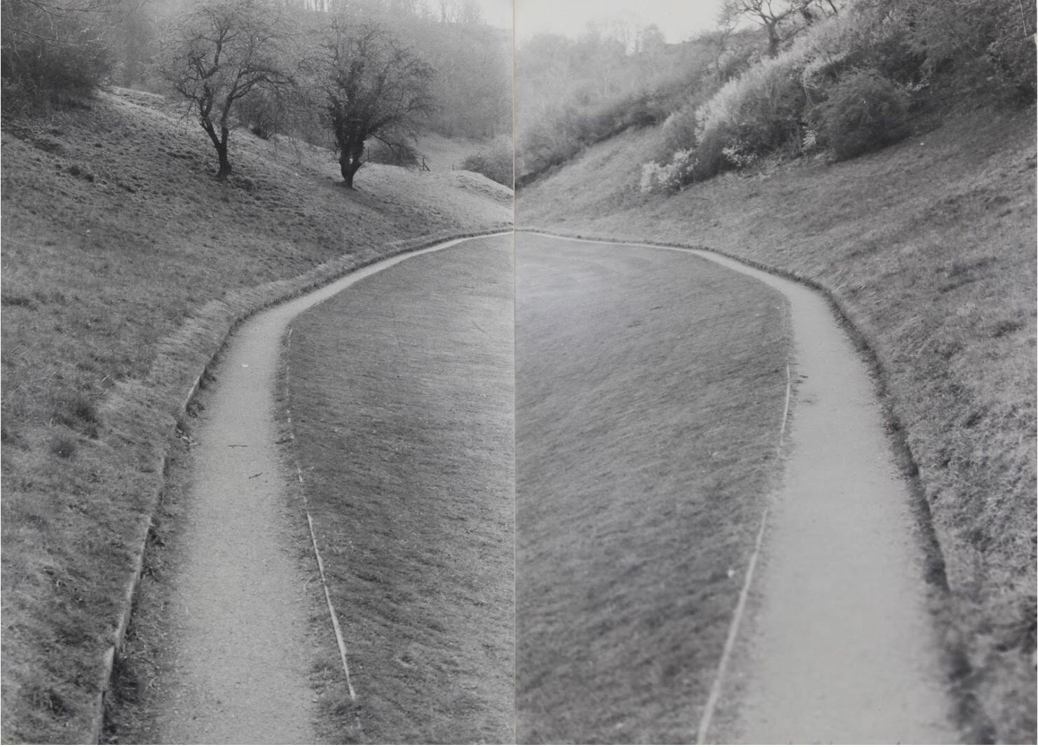 Two paths curving around a grassy hillside in a mirrored black-and-white photograph