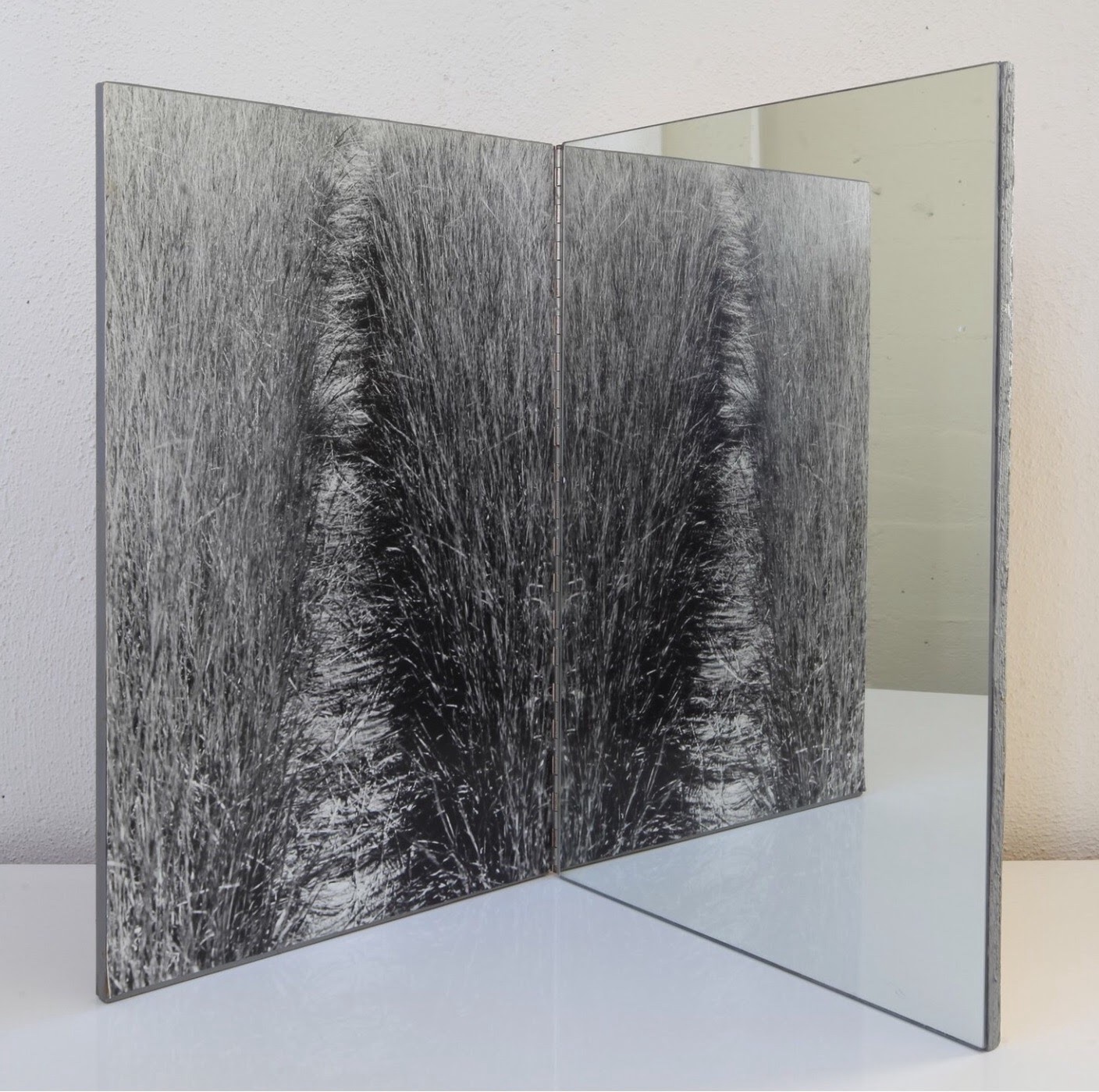 Folded photographic work with a path through dense grasses and a mirrored panel